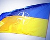 Наступил удобный момент для вступления Украины в НАТО. 