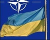Польша и Литва тянут Украину в НАТО. Фото: fin.aif.ru.