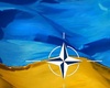 Уходящая власть тянет Украину в НАТО.