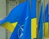 Другим указом Янукович ликвидировал национальный центр по вопросам евроатлантической интеграции. Кадр: RTV International.