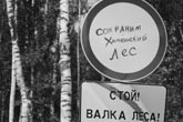 История с Химкинским лесом, судя по всему, закончена. Фото: http://www.echo.msk.ru.