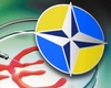 Вступление в НАТО обескровит Украину