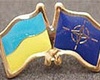 Украина проведет с Россией консультации по вступлению в НАТО.