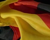 В Калининграде за флаг Германии на гараже ФСБ оппозиционеров хотят посадить на два года.