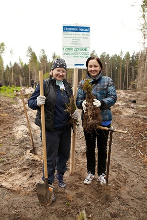 Российский бизнес помогает в восстановлении лесов в Калужской области.