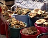 В Казахстане установили плату на сбор грибов и ягод: правозащитником подан иск в суд. Фото: xakac.info.